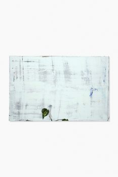 Ronald Zuurmond - Blad